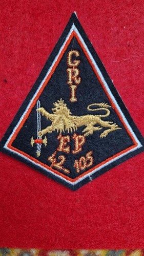 Insigne escadron protection - insigne, de