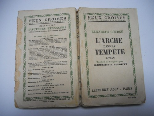 Arche dans tempête - dans, la