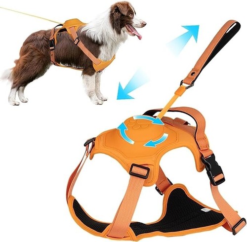 Harnais laisse pour chien - +,