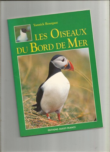 Les oiseaux bord mer - bord,
