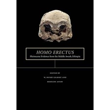 Homo erectus: Pleistocene