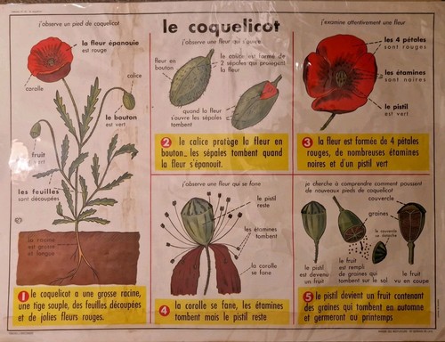 Ancienne affiche scolaire - ancienne,