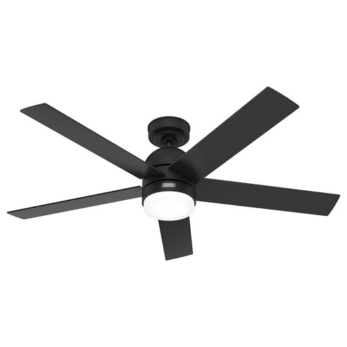 Ventilateur plafond avec