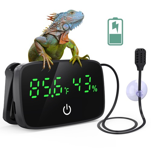 Reptile thermometer - reptile,