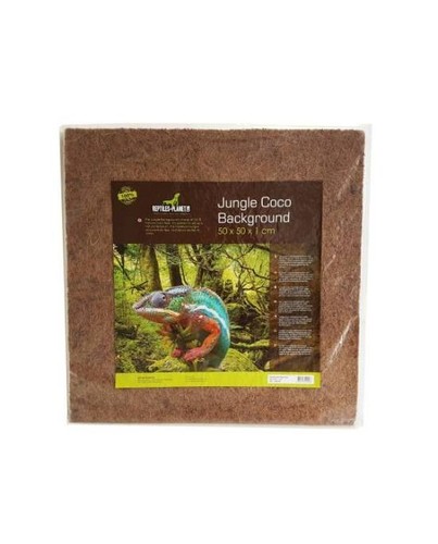 Fond terrarium fibre - fond,