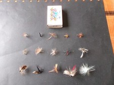 15 véritables mouches de