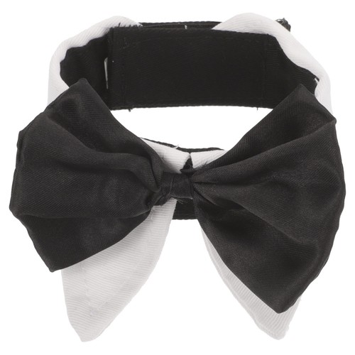 Collerette pour chien - pour,