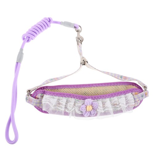 Laisse pour chiot corde - laisse,