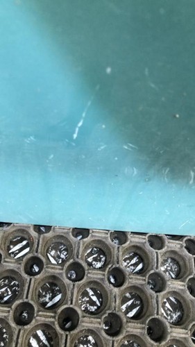 Porte avant gauche - , renault