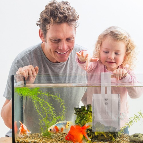Support plantes aquarium - plantes, d'aquarium