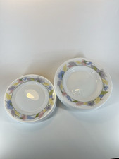 Ensemble de 11 Assiettes