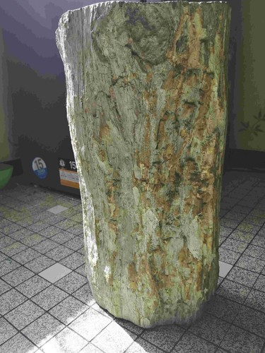 Tronc bois silicifiié de - bois,