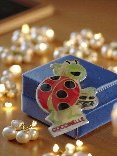 Pin vintage émail - vintage,