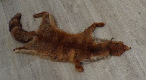 Peau renard roux m 15 - de,