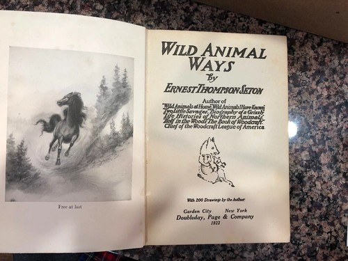 1922 edition wild - edition, animal