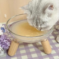 Gamelle surélevée pour chat