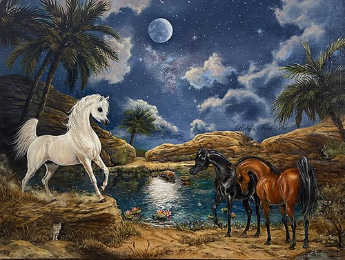 Arabian horse art print the - horse,