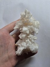 Halite Minéraux Cabinet De Curiosité Pierre Précieuse