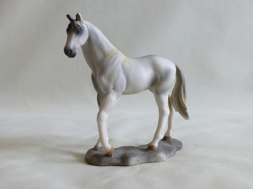 White grey horse animal - grey,