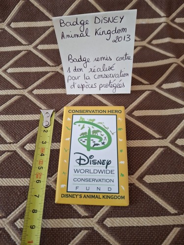 Badge disney animal kingdom - ,