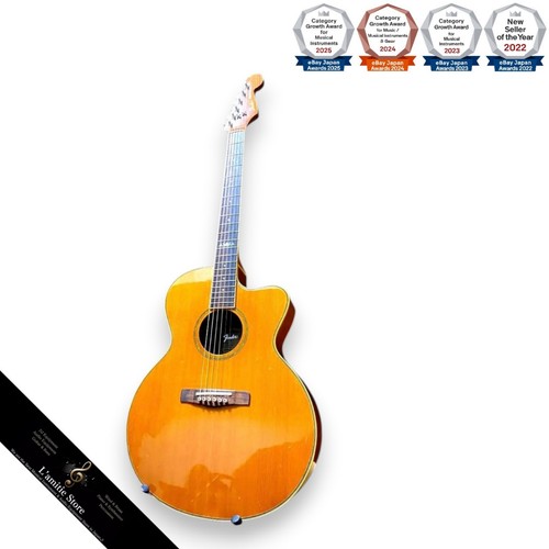 Guitare électrique acoustique