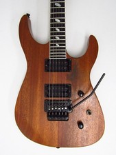 Electric Guitar Caparison