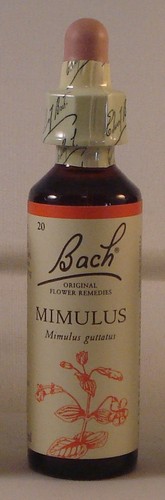 Remèdes fleur bach - remèdes,