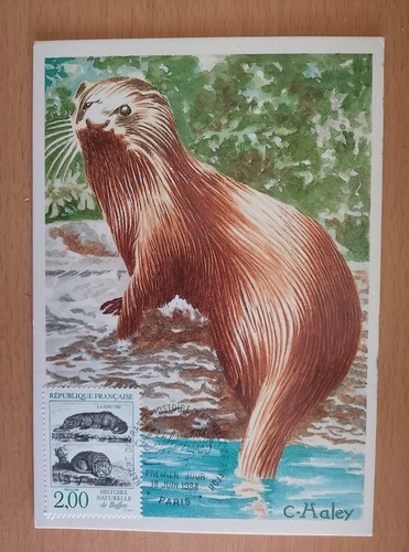 Carte postale premier jour - carte,