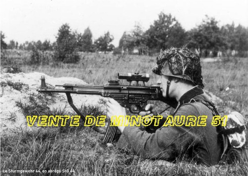 Sturmgewehr en abrégé - sturmgewehr, 44