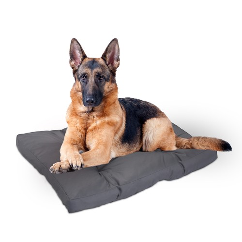 Coussin chien panier - coussin, lit