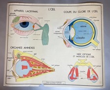 Ancienne affiche scolaire
