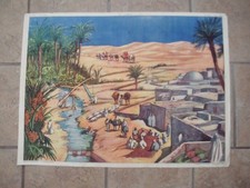 AFFICHE PEDAGOGIQUE ROSSIGNOL  L'OASIS - LA RIZIERE