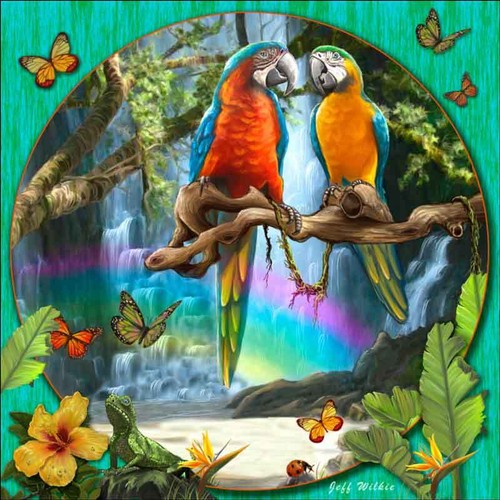 Macaw bird accent - &, decor