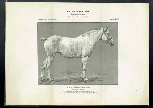 Planche 1124 journal - planche,