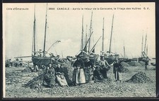CPA Cancale, Le Triage des Huitres, Apres le retour de la Caravane 