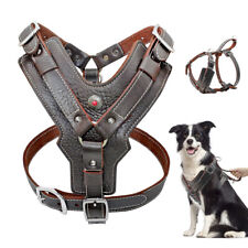 Harnais en Cuir Avec Poignée Réglable pour Moyen Grands Chiens Staffy Pitbull XL