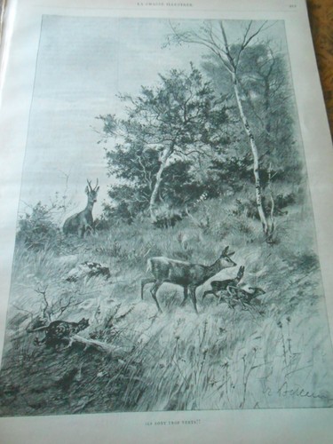 Engraving 1890 hunting a - engraving,