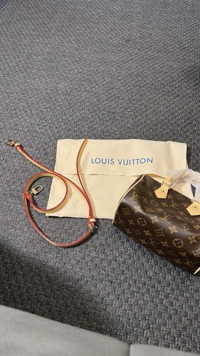 Sac main louis vuitton - main,