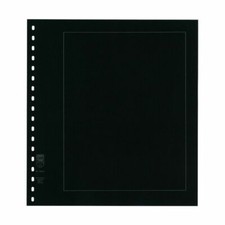 Feuilles neutres noires à 18