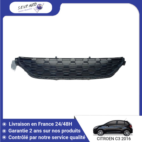 Grille pare choc - 🇫🇷,