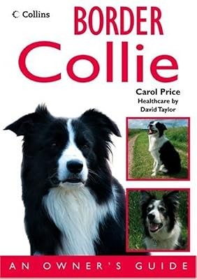 Border collie owners - owners, guide