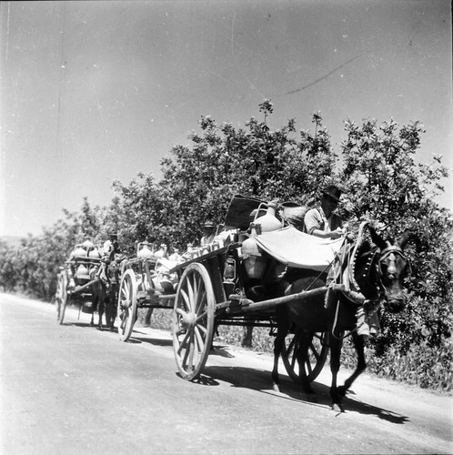 Portugal 1950 charettes - c.,