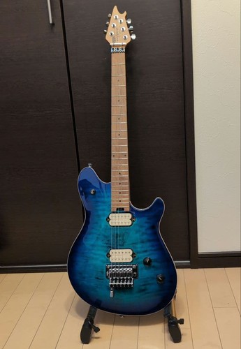 Evh wolfgang special - wolfgang,