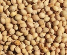 Noyaux de cerise en vrac Coussin chauffant noyaux de cerise séchés 2.2kg