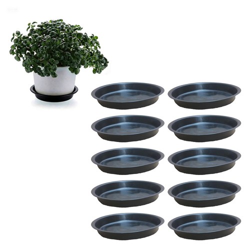 Soucoupes noires pour - , pots