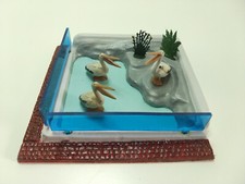 Diorama zoo - Pélicans