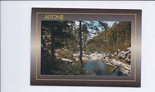 Carte postale Corse – forêt d’Aïtone & montagne – REF 1809