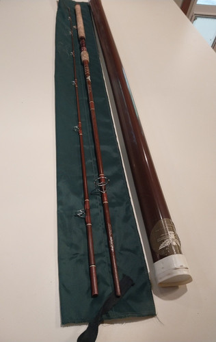 Fenwick fishing pole - fenwick,