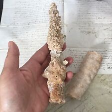 LOT 2 STALAGMITES STALACTITES Minéraux Fossiles Cristaux Crystal Collection