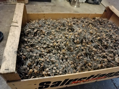 Lot 10kg condensateurs - lot,